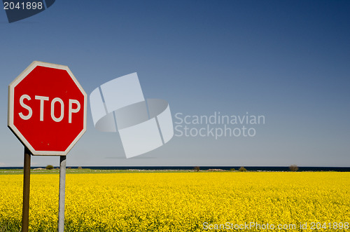 Image of Stop