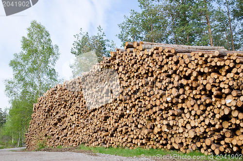 Image of Timber stack