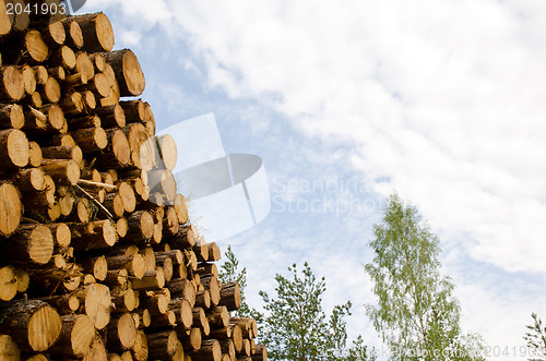 Image of Stack detail