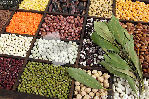 Image of Beans, peas, lentils.