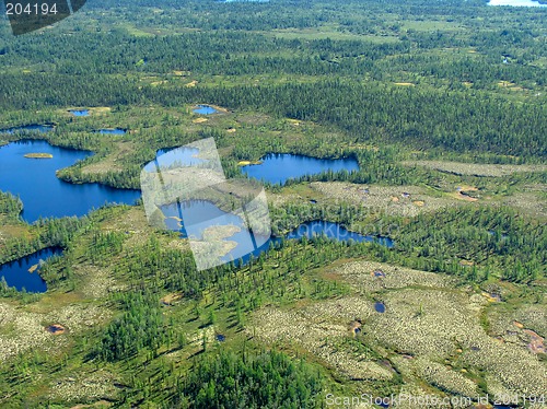 Image of Forest-tundra landscape