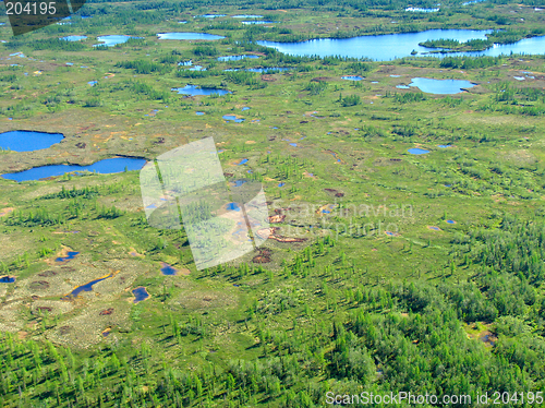 Image of Forest-tundra landscape