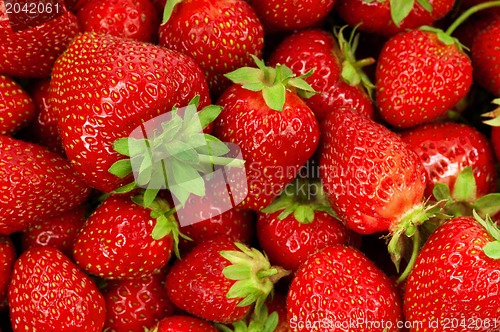 Image of Strawberry background