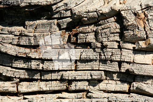 Image of Old Wood background