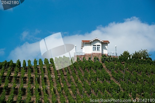 Image of Villa in vineyards