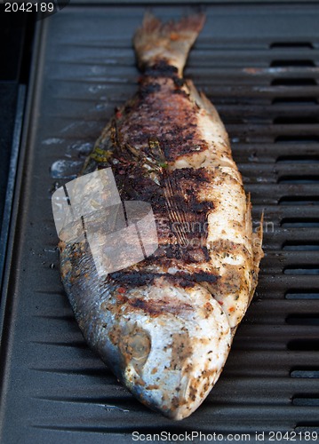 Image of Gilthead Seabream on BBQ