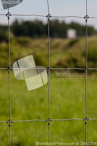 Image of Wire fence with green grass