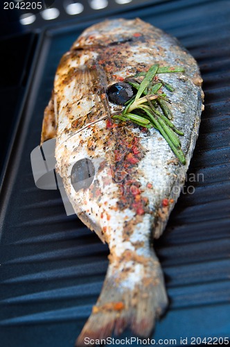 Image of Gilthead Seabream on BBQ