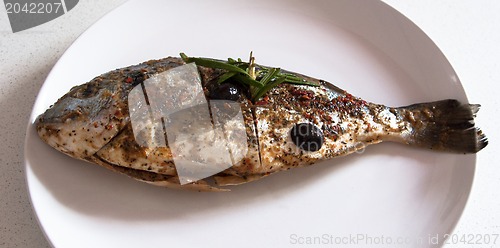 Image of Gilthead Seabream waiting BBQ