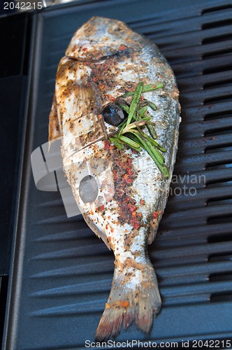 Image of Gilthead Seabream on BBQ