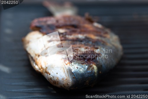 Image of Gilthead Seabream on BBQ