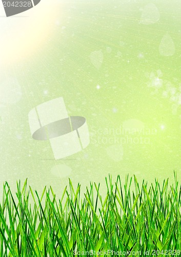 Image of grass as a background