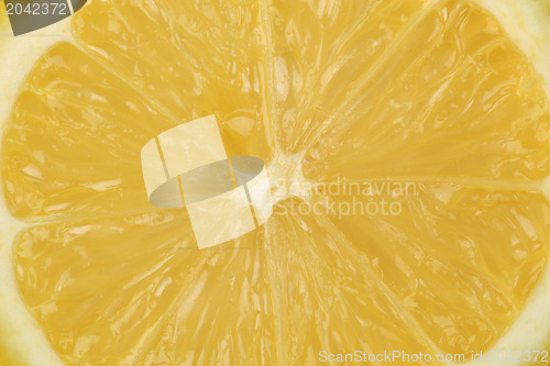 Image of Lemon