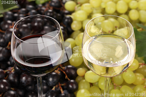 Image of White wine and red wine in glasses