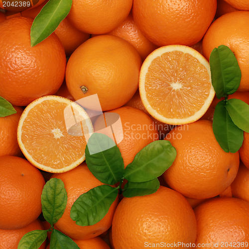 Image of Fresh oranges with leaves