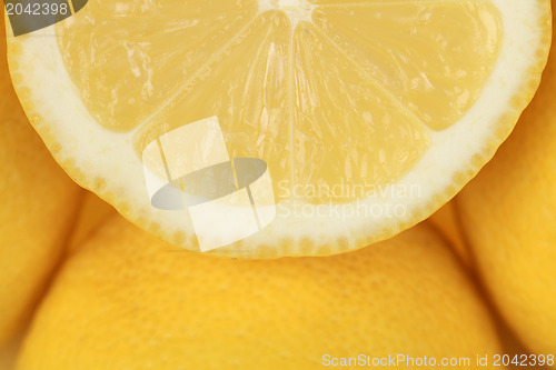 Image of Lemon