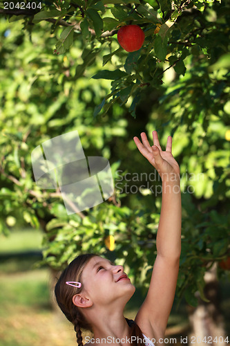 Image of Girl reaching up for an apple