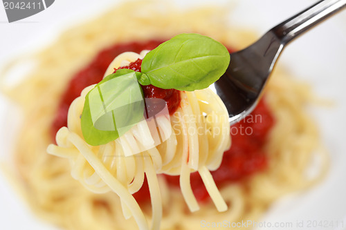 Image of Spaghetti