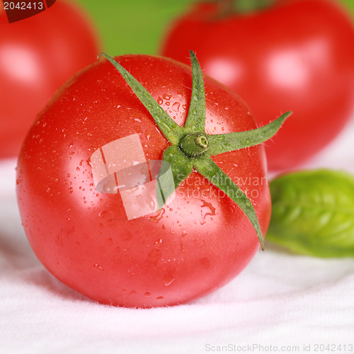 Image of Tomato with basil