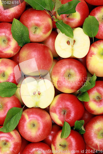 Image of Apples