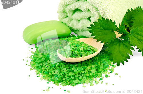 Image of Salt and soap green with nettle