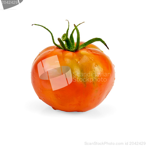 Image of Tomato whole