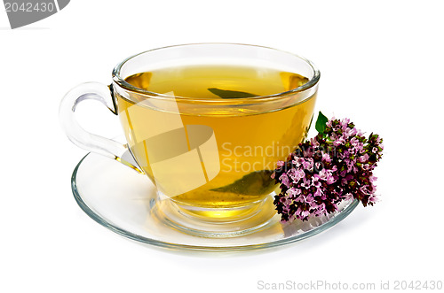 Image of Herbal tea with oregano