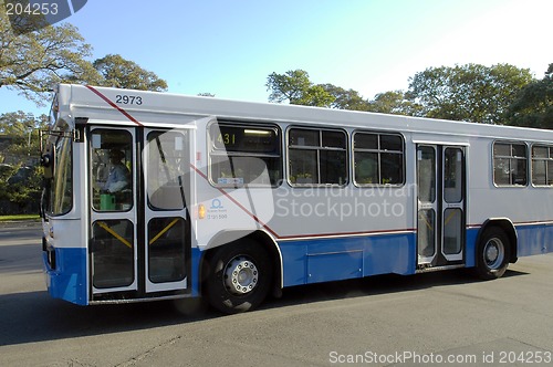 Image of sydney bus
