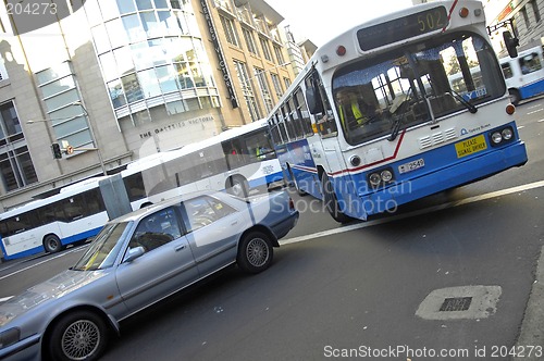 Image of sydney busses