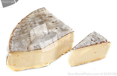 Image of Saint-Nectaire cheese