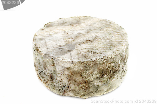Image of blue cheese