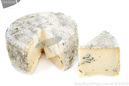 Image of blue cheese