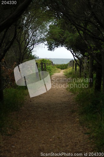 Image of footpath to ocean