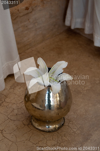 Image of White Lily flower in vase