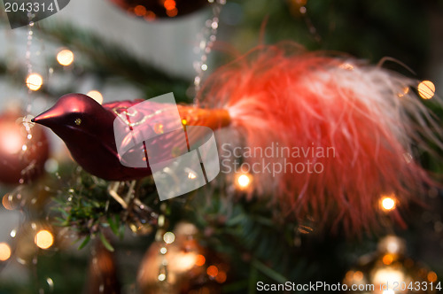 Image of Christmas Decoration