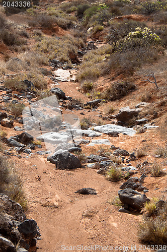 Image of Dried River Bed