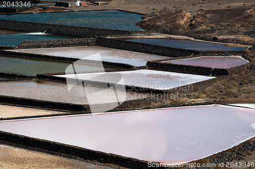 Image of Saline on Lanzarote