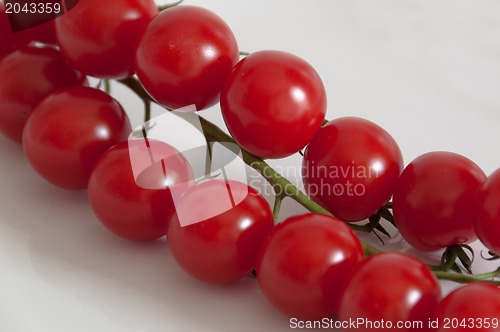 Image of Cherry tomatoes on the vine