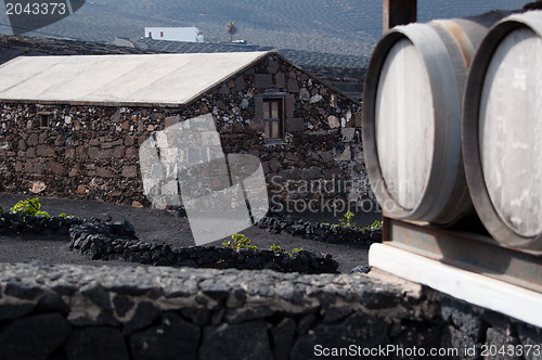 Image of Lanzarote Winery