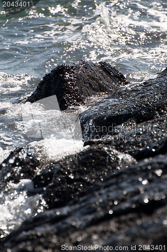 Image of Misty Waves And Rocks