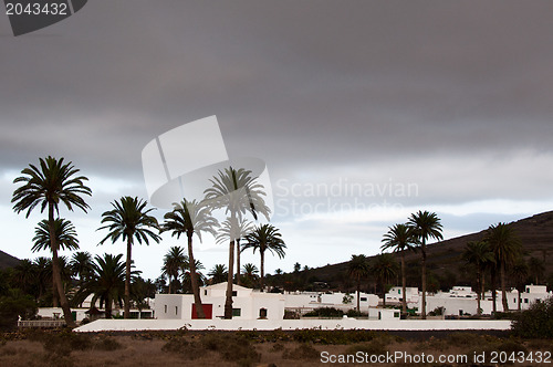 Image of Haria, Lanzarote