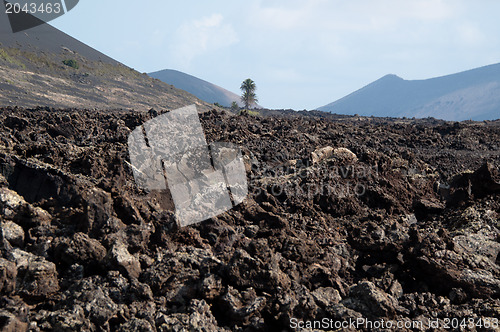 Image of Lanzarote Soil