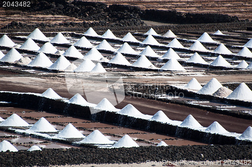 Image of Saline on Lanzarote