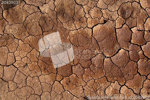 Image of Dried soil under the Sun