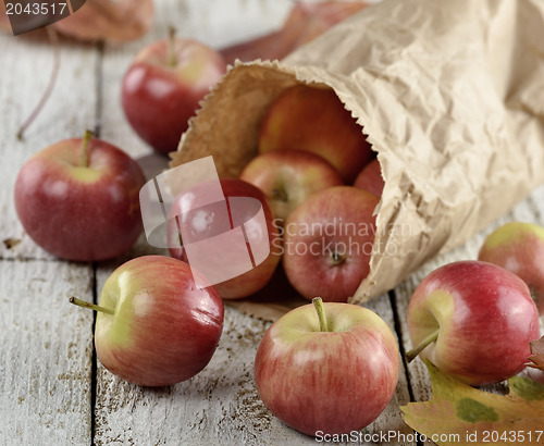 Image of Apples In A Paper Bag