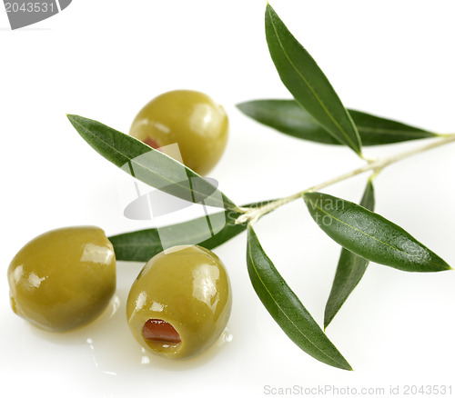 Image of Green Olives