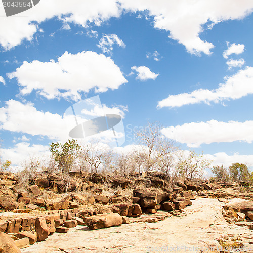 Image of Adventure in Kenya