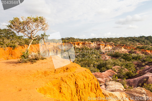 Image of Marafa Canyon - Kenya