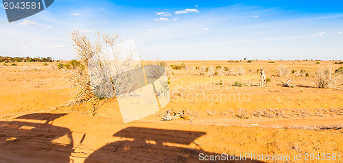 Image of Safari Vehicles silhouettes