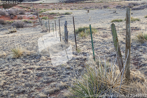 Image of cattle barbed wire fence
